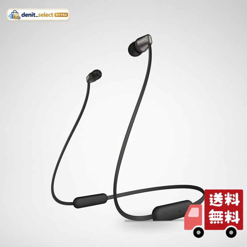 楽天市場】sony wi-c310の通販