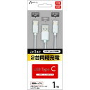 エアージェイ air-J Type-Cツインケーブル1m ホワイト UKJTWTC1MWH〈UKJTWTC1MWH〉