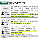denkisaku:10000766のサンプル画像2