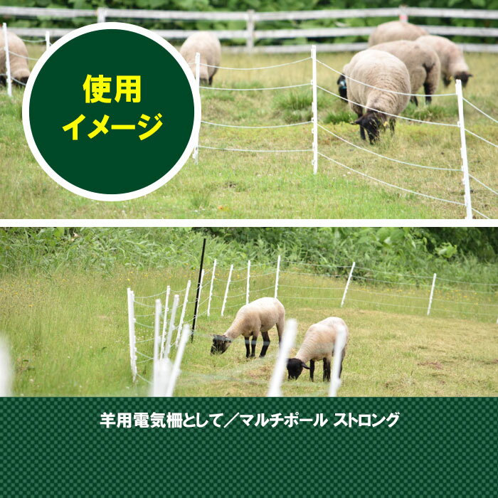 電気柵 支柱 【 ロングマルチポールストロング(1500mm) ×50本束】【 電気柵 電気さく ポール 支柱 絶縁 樹脂 ステップ付き しなる 折れにくい 家庭菜園 牧場 畑 水田 獣害対策 放牧 ファームエイジ FAR夢 】