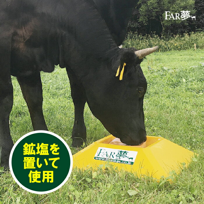 動物 食器 食器台【 鉱塩台 】鉱塩 塩 岩塩 ミネラル 暑さ対策 牛 ウシ 羊 ヒツジ ...