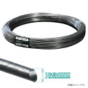 鉄線 番線 ブドウ棚【フェンシングワイヤー直径2.0mm(1013m巻)】【 電気柵 電気さく ワイヤー 線 柵線 結束 結束線 緊結 DIY 高伝導 亜鉛メッキ アルミ 抗張力 鋼線 針金 防錆性 屋外使用 対候性 家庭菜園 牧場 畑 水田 獣害対策 放牧 防護 防疫ファームエイジ FAR夢 】