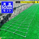 ネット フェンス 【掘り返し防止・補修フェンス50mセット 】【 フェンス 金網 外構 防護柵 地際 地面 掘り返し 補強 補修 下部 隙間 埋める アライグマ...