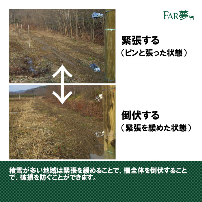 クランプ 園芸 【 巻取式緊張具 碍子付き（恒久柵、簡易恒久柵用）】 【 ぶどう棚 葡萄棚 園芸棚 ビニールハウス 電気柵 電気さく ワイヤー 線 柵線 フェンシングワイヤー 番線 鋼線 フィールドフェンス ネット バラ線 】