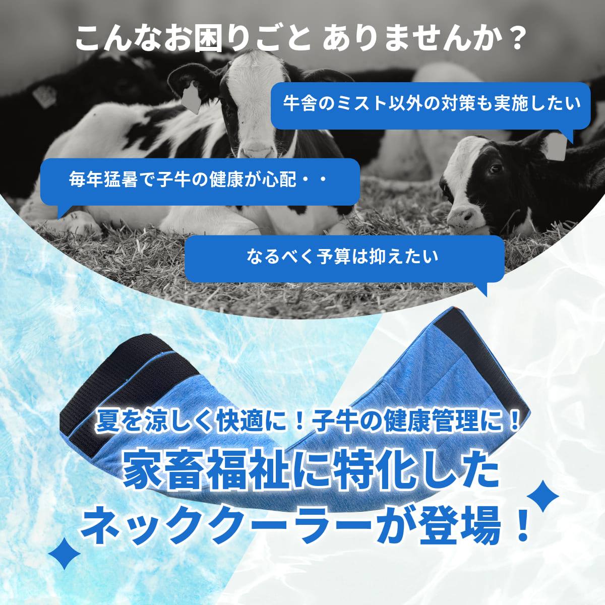ネック クーラー 子牛 ＼【期間限定】ファームクール（子牛用ネッククーラー）10枚...