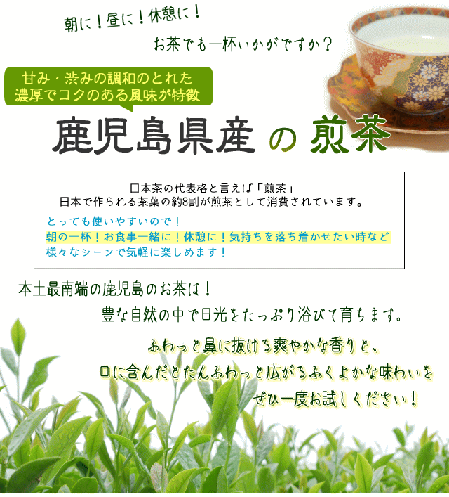 鹿児島県産の　特選　煎茶「恋こい茶。」袋を開けた瞬間ふわっと広がる爽やかなお...