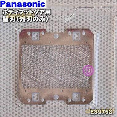 ڽʡʡۥѥʥ˥åǥСܥǥեåȥѤؿϡʳϤΤߡˡ1ġPanasonic ES9753ۡ1ۡO