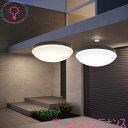 【OW269014LD OW269014ND後継品】オーデリック 屋外用 LED 共用灯 FCL30W相当(ねじ込式)ランプ交換可OW2690144LR 電球色 OW269014NR 昼白色防雨・防湿型 【要工事】【2025-12】