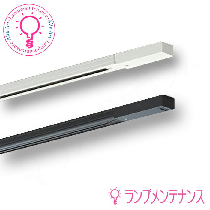 【楽天イーグルス感謝祭P2倍】DAIKO　ダクトレール 直付専用型 1m用　フィードインボックス　エンドキャップ各1個付DP-00291K　黒DP-00291W　白【工事要】【2026**01】