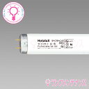 【マラソン期間P2倍】ホタルクス(旧:NEC) FLR40SW/Mボウヒ25本セット 受注生産品 直管蛍光灯(40形 飛散防止形蛍光ランプ(P))直管ラピッドス...
