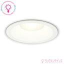 オーデリック OD361137BCR S LED一体型 ダウンライト Ra94 高演色照明 調光・調色(電球色~昼光色) 浅型 φ125 白熱灯100W相当 50000時間 コントローラー別売 Bluetooth ※調光器不可【要工事】【2025-12】