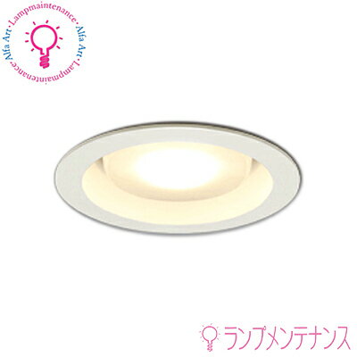 ڤ㤤ʪޥ饽֥ݥ2ܡۥǥå OD361359BR SNo.293MBLEDŵ巿 饤 Ra94 鿧...
