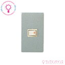 パナソニック WN65019 フルカラー ステンレス 新金属プレート (フルコート加工 2型 1コ用)【2025-04】