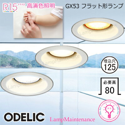 ڤ㤤ʪޥ饽֥ݥ2ܡۥǥå LEDŵ 饤ȡǮ60W OD361235LDR Sŵ忧OD361...