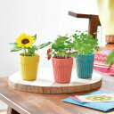 【アウトレット】聖新陶芸 Botanical Pot ボタニカルポット GD-904【栽培セット ボタニカル 幸せ お花 植物 かわいい おしゃれ プレゼント ...