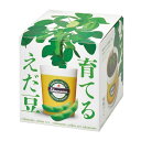 聖新陶芸 育てるえだ豆 栽培セット GD-979【栽培セット エダマメ ビール おつまみ ヘルシー ベジタリアン ヴィーガン 食べられる プレゼント ギフト 緑...