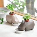 聖新陶芸 hippoplant ヒポポプラント アップルミント バジル GD-982【栽培セット 食べられる 瀬戸焼 カバ ハーブ スタイリッシュ インテリア ...