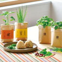 聖新陶芸 TSUTSUMI しそ 唐辛子 三つ葉 小ねぎ GD-996【栽培セット 食べられる 薬味 プレゼント ギフト 育てる 植物】