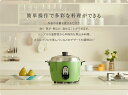 大同電鍋楽天公式販売店ー大同電気釜 炊飯器 10合ーLサイズ（緑）