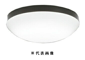 オーデリック OW269050LD 屋外用LED共用灯 電球色 ランプ交換可能型 防雨・防湿型 FCL20W相当