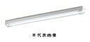 オーデリック XG505006P2B LED-LINEベースライト 防雨・防湿型 トラフ型 FL40W×2灯相当 昼白色