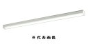オーデリック XL501008S4H LEDユニット型ベースライト 40形 調光タイプ トラフ型 Hf32W定格出力×2灯相当 昼白色(3)