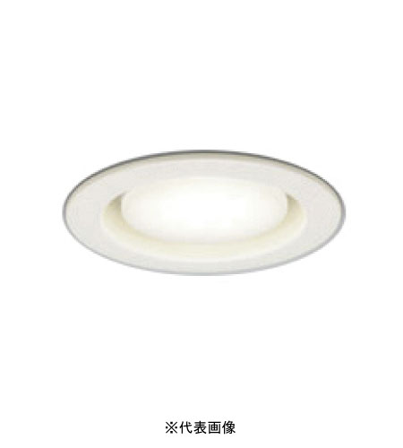 ǥå OD361511LDR LED Ѳй¤б Ǯ600W Ĵ եۥ磻 2700k ŵ忧