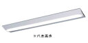 パナソニック【10台セット】XLX450DEVPLE9一体型LEDベースライトIDシリーズ40形直付型 Dスタイル W230Hf32形定格出力型2灯器具相当5200lm 温白色