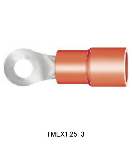 tmex1_25-3.jpg