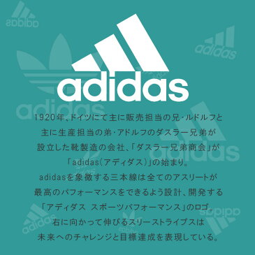 アディダス スタンスミス ベルクロ レディース キッズ スニーカー ホワイト/グレー adidas STANSMITH CF J WHITE/GREY EG7568