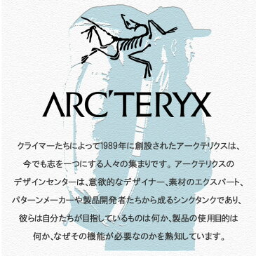 アークテリクス リュック コバートケース 2WAY ショルダーバッグ バックパック メンズ レディース グレー arc'teryx COVERT CASE C/O PILOT ARC12403