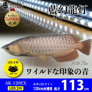 業界トップクラス 引き出せ 眠る青 水中 藍幻龍灯 ワイルドブルー 藍幻龍灯 Ex Led 2列 ディスカス アロワナ ライト 金龍 過背金 1cm水槽用 藍幻龍灯 ワイルドブルー Ex Led 2列 水中 照明器具 水中蛍光灯 アクアリウム 熱帯魚 アジアアロワナ ディスカス でんらい 業界トップクラス 引き出せ 眠る青 水中 藍幻龍灯 ワイルドブルー 藍幻龍灯 Ex Led 2列 ディスカス アロワナ ライト 金龍 過背金 1cm水槽用 藍幻龍灯 ワイルドブルー Ex Led 2列 水中 照明器具 水中蛍光灯 アクアリウム 熱帯魚 アジアアロワナ ディスカス でんらい