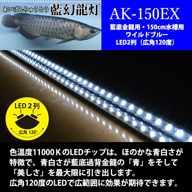 業界トップクラス でんらい 引き出せ 眠る青 藍幻龍灯 ワイルドブルー Ex Led 2列 過背金 ポイント5倍4日時 11日2時 ディスカス アロワナ ライト 金龍 過背金 150cm水槽用 藍幻龍灯 ワイルドブルー Ex Led 2列 水中 照明 水中蛍光灯 アクアリウム 熱帯魚 アジア