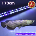 アロワナ ライト 金龍 過背金 180cm水槽用 藍紫龍灯 ワイルドブルー UV 40% EX LED 2列 紫外線 A波 日焼け 効果 色揚げ 水中 照明 水中..