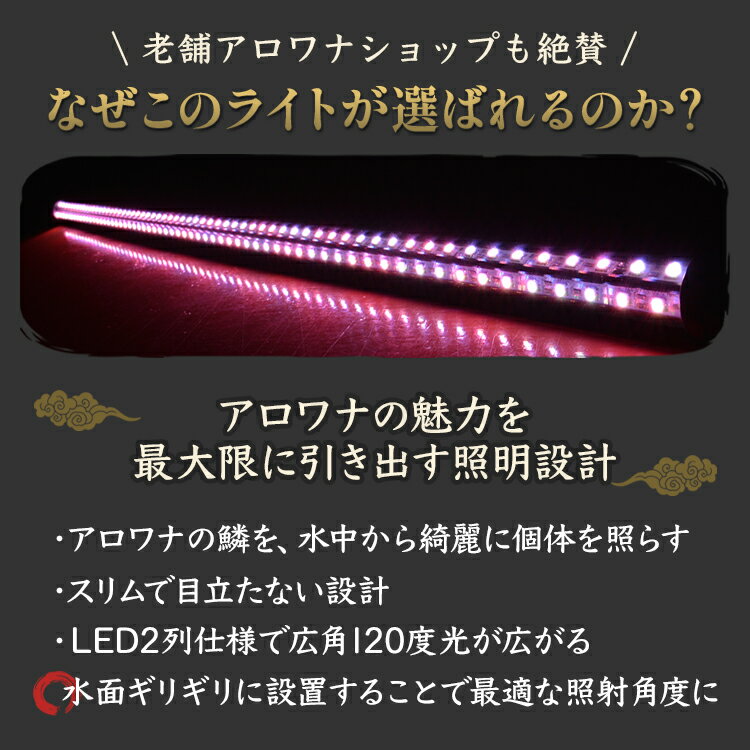 ポイント5倍 照明 11日まで アロワナ ライト レベル1 照明 紅龍 1cm水槽用 真朱龍灯 ナチュラルレッド Ex 旧スーパーレッド レベル1 Led 2列 水中 照明 水中蛍光灯 アクアリウム 熱帯魚 アジアアロワナ ディスカス でんらい Ar1 Ex でんらい業界トップクラス 赤