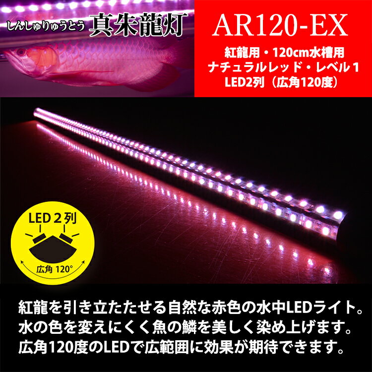 ポイント5倍 照明 11日まで アロワナ ライト レベル1 照明 紅龍 1cm水槽用 真朱龍灯 ナチュラルレッド Ex 旧スーパーレッド レベル1 Led 2列 水中 照明 水中蛍光灯 アクアリウム 熱帯魚 アジアアロワナ ディスカス でんらい Ar1 Ex でんらい業界トップクラス 赤