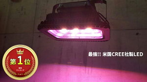 ץ͡˾Ƕեѥ ʥ饤 ֿ 150w LED ξ  饤   ζ ζ 2  ָ ꥦ Ǯӵ ʥǥ Ǥ餤  奦 åɥ Ȥ ˸