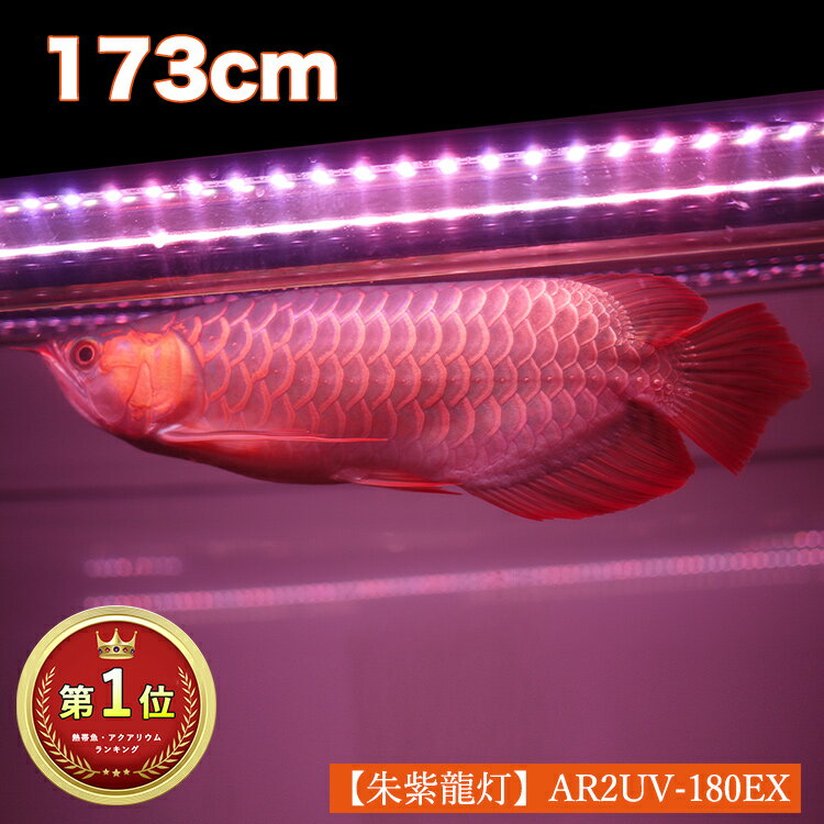  饤 糰40 180cm ζ ζ UV A Ƥ  Ȥ Ȥ 饤 ζ ζ ʥȥ LED 2   ָ ֥å饤  ѡå 奦 åɥ ȯ ֤ Ȥ ƥ˥ ƥ˥