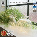ジュエリーライト ガラス付き リンゴ 天使 雫 USB 10m 100球 フェアリーライト インテリア LED 模様替え イルミネーションライト リモコン付き 防滴 防水 調光 かわいい 点滅 電飾 装飾 卓上 電球 レトロ ホテルライク おしゃれ 北欧 キッチン ダイニング 階段 子供部屋(3)