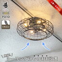 シーリングファンライト 天井照明 シーリングライト 照明 LED 室内照明 玄関ホール 新居 サーキュレーター リノベーション ホテルライク 高級感 おしゃれ ...