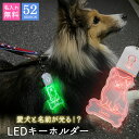 キーホルダー 迷子札 光る LED ペット 犬 リード 首輪 ペンダント おしゃれ ライト お散歩 かわいい ネームプレート ギフト プレゼント アクリル 夜道...