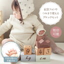 amanoppo あまのっぽ coccole story コッコレストーリー 積み木 つみき ブロック 月齢フォト マタニティフォト アニバーサリー 誕生日 記...