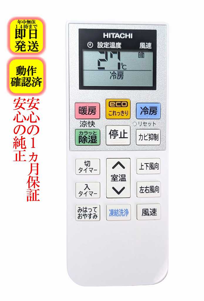 楽天市場】白くまくん 40の通販