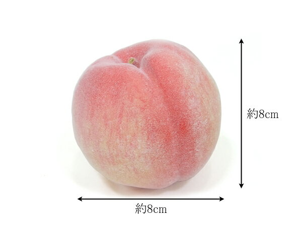 �ڥե������ե롼�ġ����ʥ���ץ����