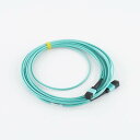 【中古】 DW 8日保証 2台入荷 SPIRENT ACC1021A FIBER CABLE ファイバーケーブル 05153-0337