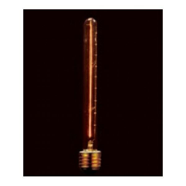 舶用電球 ヴィンテージランプ 白熱電球 110V40W T30 F8 E26