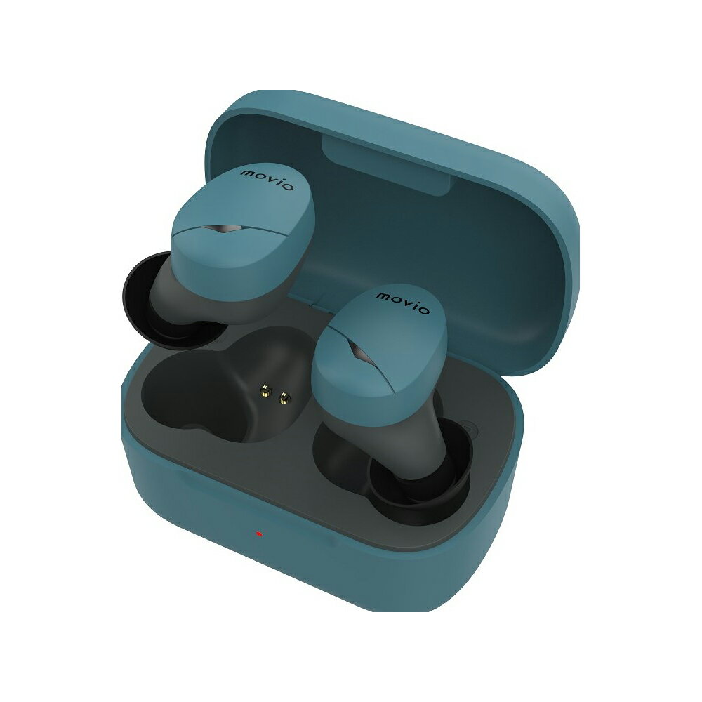 ナガオカ 完全ワイヤレスイヤホン M310SHOESRSBL