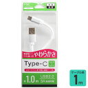 FSC 炩TYPE-CP[u FS-CASL100-WH