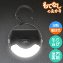 エルパ もてなしのあかり LED 明暗人感センサーライト 吊りさげ型 HLH-2205