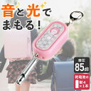 エルパ 光る防犯アラーム ホイッスル付 ピンク AKB-300(PK)